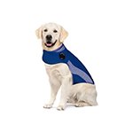 Clothing & Accessories