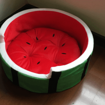 Juicy Oasis Pet Bed
