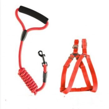 Dog Leash and Chest Strap Set