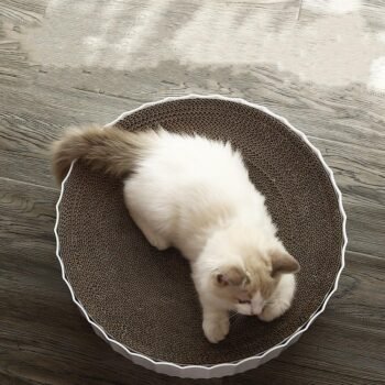 Cat Claw Care Center: Corrugated Cat Litter Scratcher