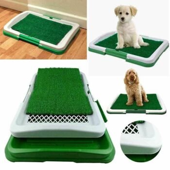 Ultimate Clean Paws Pet Toilet: The Hassle-Free Solution For A Spotless Home