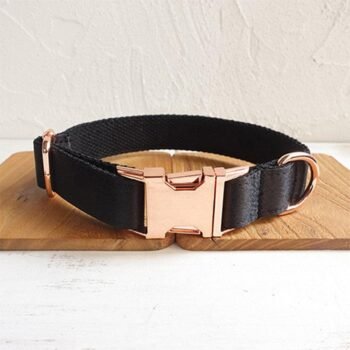Midnight Shadow Dog Collar