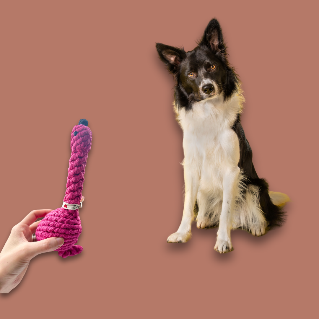 Flamingo_Rope_Dog_Toy_Dog_Play_Toy.png