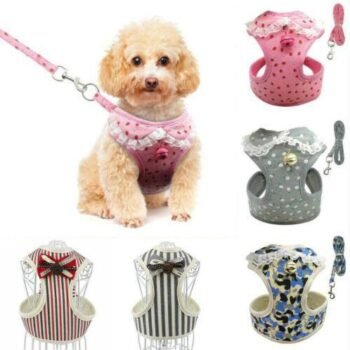 Striped Bow Tie Dog Leash with Bells – Multiple Colors and Sizes Available
