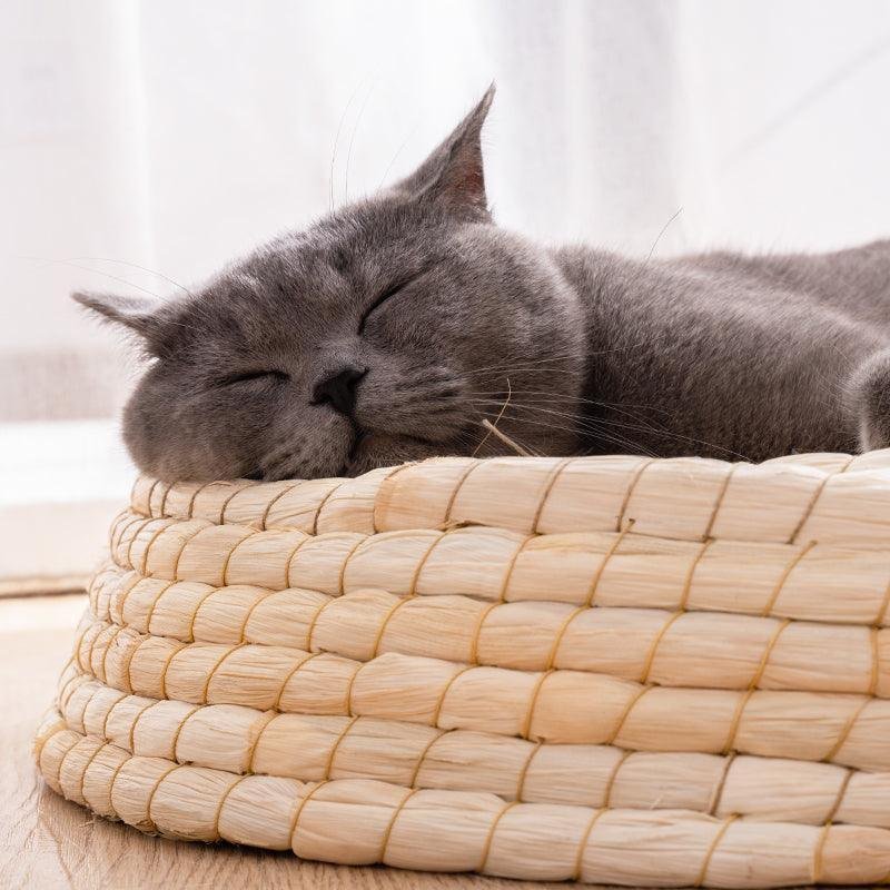 cozy-haven-handcrafted-felt-house-cat-bed-554316.jpg