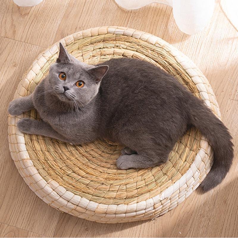 cozy-haven-handcrafted-felt-house-cat-bed-610126.jpg