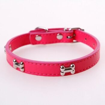 Pet Neck Ring with Adjustable Sizes and Color Options